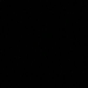 Meet your Posher, Theresa